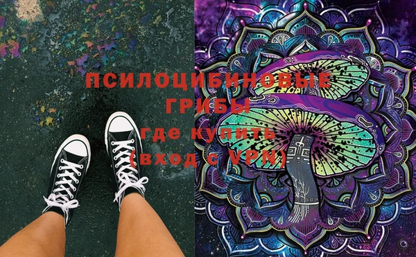 мяу мяу мука Надым