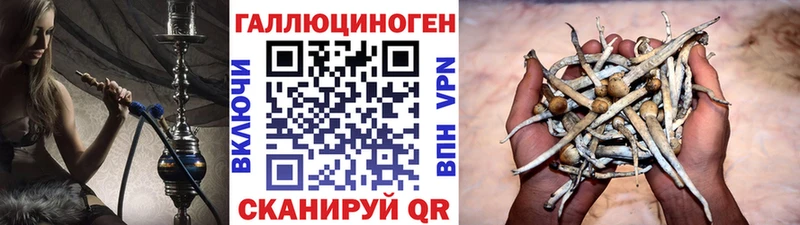 Купить закладки  Иваново  Галлюциногенные грибы GOLDEN TEACHER 